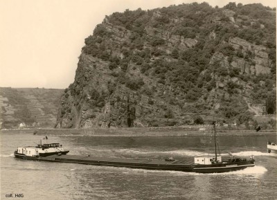 Meursault 02.jpg