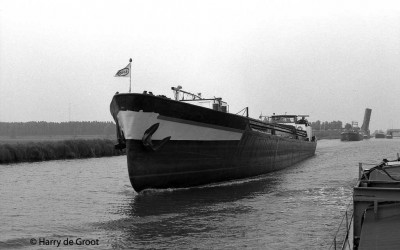 Esperance 2313889 (3).jpg