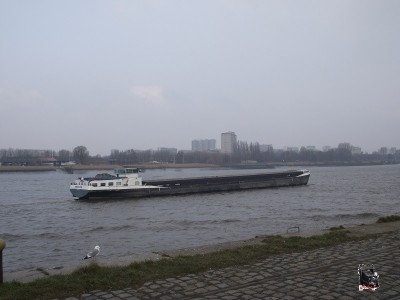 2013_03302010_12050010 - Copie.JPG