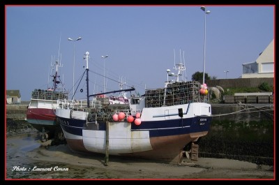 SSA42950.JPG (184.63 Kio) Vu 2295 fois SSA42950.JPG