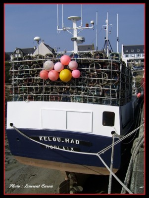 SSA42962.JPG (218.41 Kio) Vu 2295 fois SSA42962.JPG