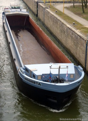 modestaweurt104042013.jpg