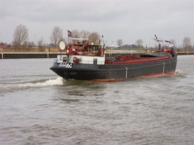 02010036.jpg