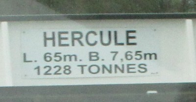 HERCULE 003.jpg