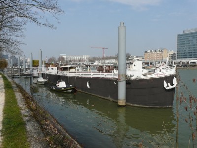 bel ami-av.JPG