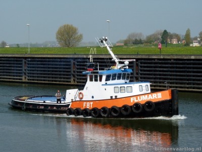 flumariii503052013.jpg