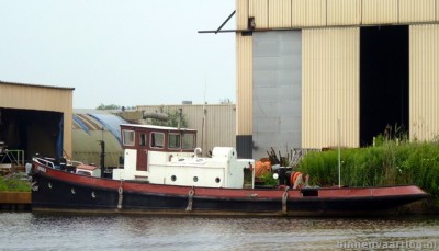 berendje206072011zuidbr.jpg
