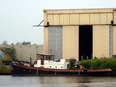 berendje106072011zuidbr.jpg