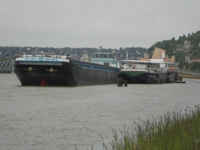 SCAPA.jpg