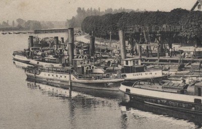 Guepe No 14 - 2aa.JPG