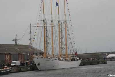 300.JPG (69.78 Kio) Vu 2444 fois 300.JPG