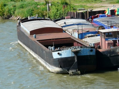 thomery-luminescence.JPG (492.7 Kio) Vu 2467 fois thomery-luminescence.JPG