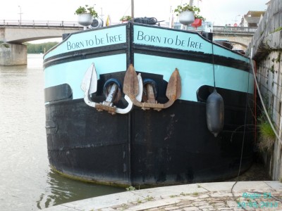 P1010181.JPG (213.52 Kio) Vu 2920 fois P1010181.JPG