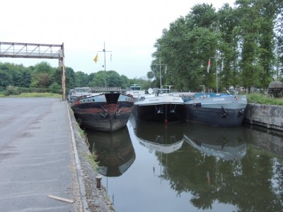 DSCN3815 (Medium).JPG (189.23 Kio) Vu 2665 fois DSCN3815 (Medium).JPG