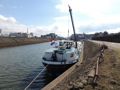 DSCN3122 (Medium).JPG (202.56 Kio) Vu 1633 fois DSCN3122 (Medium).JPG