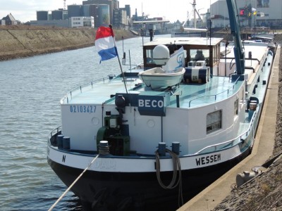 DSCN3123 (Medium).JPG (221 Kio) Vu 1633 fois DSCN3123 (Medium).JPG