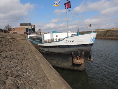 DSCN3125 (Medium).JPG (181.09 Kio) Vu 1630 fois DSCN3125 (Medium).JPG