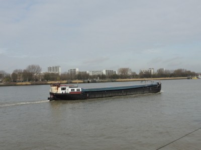 DSCN3208 (Medium).JPG