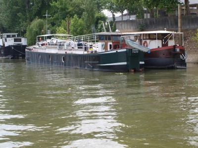 P6141488 (Copier).JPG (287.77 Kio) Vu 2208 fois P6141488 (Copier).JPG