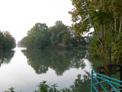 canal vers le rhin.jpg