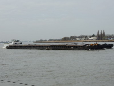 DSCN3195 (Medium).JPG (105.05 Kio) Vu 2632 fois DSCN3195 (Medium).JPG