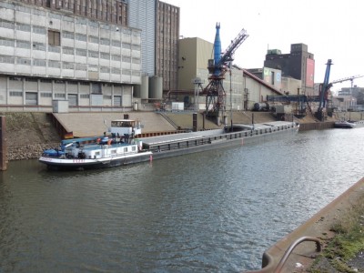 DSCN3131 (Medium).JPG (231.26 Kio) Vu 1269 fois DSCN3131 (Medium).JPG