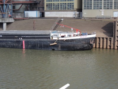 DSCN3137 (Medium).JPG (204.23 Kio) Vu 1268 fois DSCN3137 (Medium).JPG