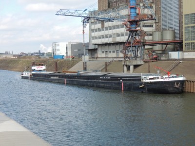 DSCN3138 (Medium).JPG (218.8 Kio) Vu 1269 fois DSCN3138 (Medium).JPG