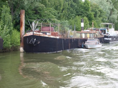 P6141500 (Copier).JPG (301.42 Kio) Vu 1718 fois P6141500 (Copier).JPG