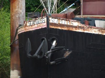 P6141499 (Copier).JPG (206.72 Kio) Vu 1720 fois P6141499 (Copier).JPG