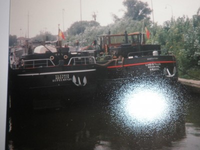 vlinder5.jpg (110.1 Kio) Vu 2175 fois vlinder5.jpg