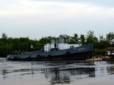 hendrik-4-18-06-2013.jpg
