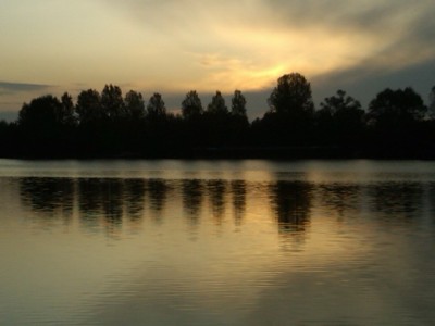 IMG00066-20090912-0738.jpg (44.56 Kio) Vu 4443 fois IMG00066-20090912-0738.jpg