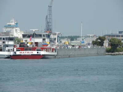 DSCN3990 (Medium).JPG