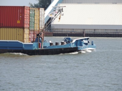 DSCN4002 (Medium).JPG (206.05 Kio) Vu 1418 fois DSCN4002 (Medium).JPG