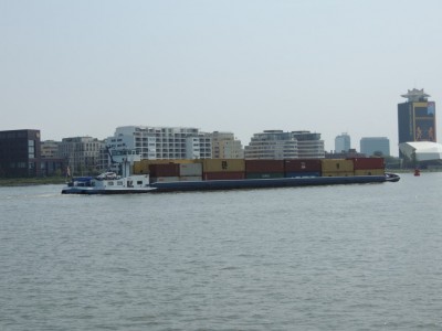 DSCN4006 (Medium).JPG (124.48 Kio) Vu 1418 fois DSCN4006 (Medium).JPG