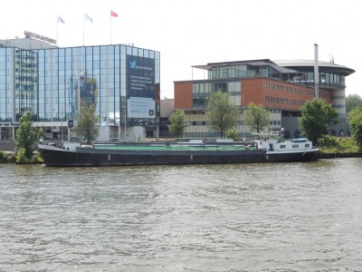 DSCN4078 (Medium).JPG (216.15 Kio) Vu 3012 fois DSCN4078 (Medium).JPG