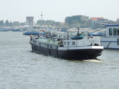 DSCN4081 (Medium).JPG (161.1 Kio) Vu 3010 fois DSCN4081 (Medium).JPG