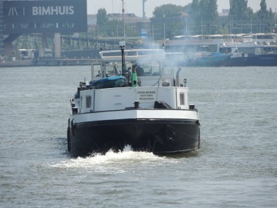 DSCN4084 (Medium).JPG (180.48 Kio) Vu 3009 fois DSCN4084 (Medium).JPG