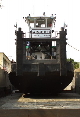 marsouin face.jpg (466.02 Kio) Vu 4086 fois marsouin face.jpg
