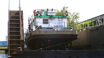 marsouin.jpg (180.23 Kio) Vu 4086 fois marsouin.jpg