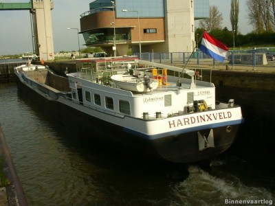 zalmvisser-3-07-11-2008.jpg