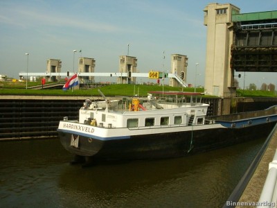 zalmvisser-2-07-11-2008.jpg