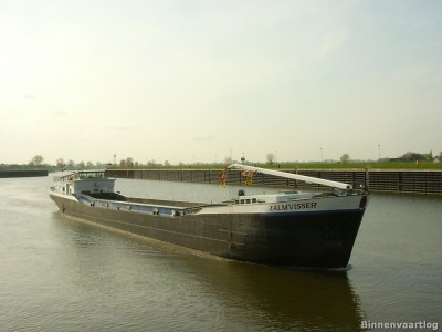 zalmvisser-1-07-11-2008.jpg