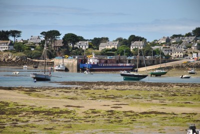 DSC_0316a.jpg (280.75 Kio) Vu 1608 fois DSC_0316a.jpg