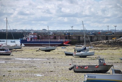 DSC_0322a.jpg (262.8 Kio) Vu 1635 fois DSC_0322a.jpg