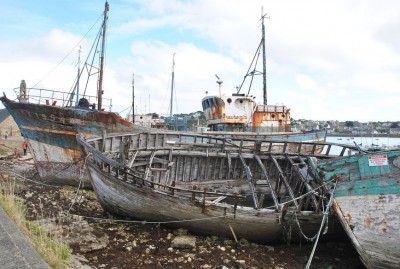 DSC_0144a.jpg (265.58 Kio) Vu 12508 fois DSC_0144a.jpg