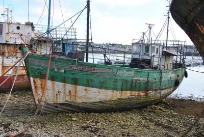 DSC_0147a.jpg (308.34 Kio) Vu 12508 fois DSC_0147a.jpg