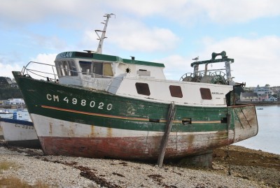 DSC_0150a.jpg (233.35 Kio) Vu 12508 fois DSC_0150a.jpg