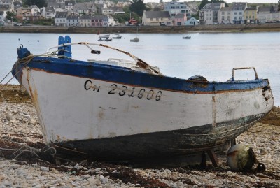 DSC_0152a.jpg (256 Kio) Vu 12508 fois DSC_0152a.jpg